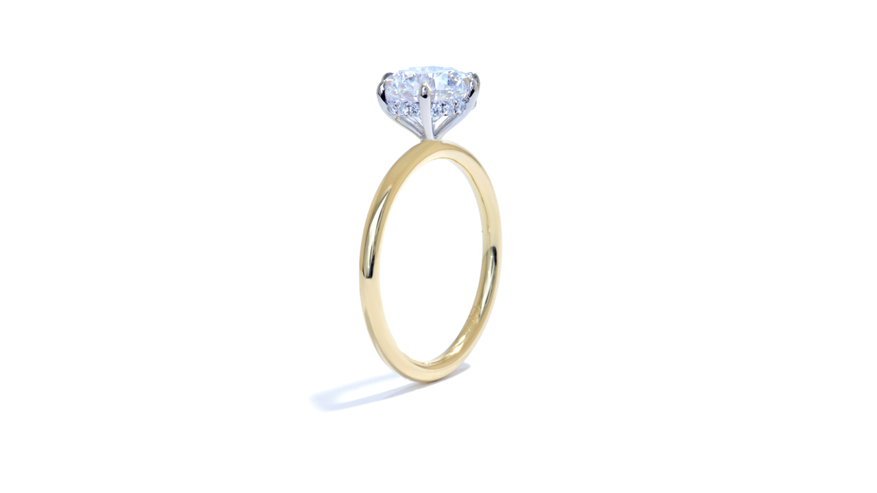 jb5535_lgd1981 - Fine Round Diamond Solitaire Ring at Ascot Diamonds